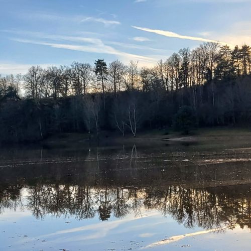 Quand le soleil de l’hiver