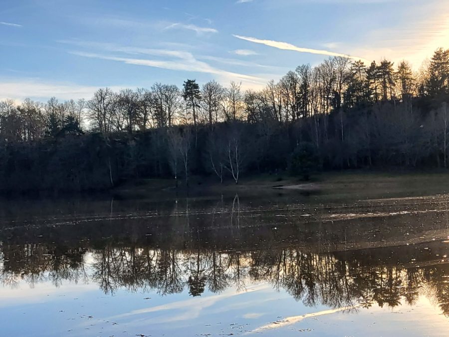 Quand le soleil de l’hiver