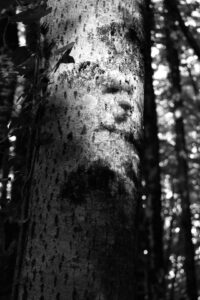 IMG_7106 (1)