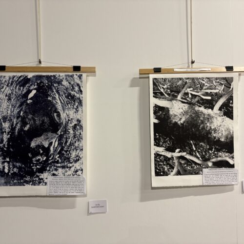 Exposition « Salon d&rsquo;hiver » de la Société artistique du Cantal