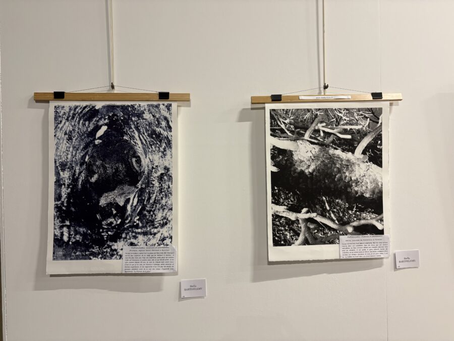 Exposition « Salon d&rsquo;hiver » de la Société artistique du Cantal