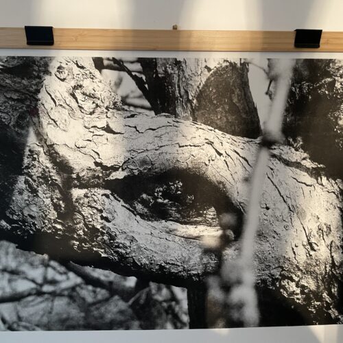 Noeud de vie : réplique