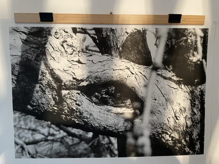 Noeud de vie : réplique